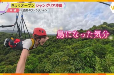 『ジャングリア沖縄』開業「鳥になった気分」大自然を堪能できるアトラクション、恐竜にグルメ、スパも
