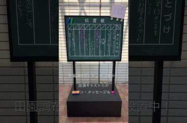 伝言板設置、はじめました🌻✍️