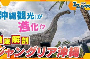沖縄経済の起爆剤に！？　ジャングリア沖縄がオープン【ニュースジグザグ】