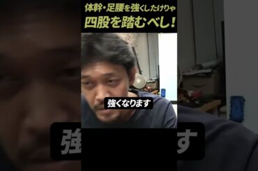 【ガチタマTV】体幹や足腰を鍛える最高のストレッチ＆トレーニング”四股” ！毎日やれば強くなります #Shorts【田村装備開発】