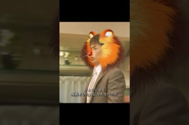 父の偉大さです #高畑充希 #黑木瞳 #时任三郎 #竹内凉真