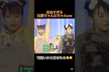 自由すぎる加護ちゃん辻ちゃんww可愛いから許されちゃう🥰🥰 #加護亜依 #辻希美 #中澤裕子 #ハロプロ #モー娘 #モーニング娘 #ハロモニ #飯田香織 #新垣里沙 #高橋愛