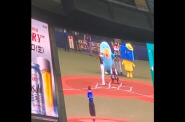 20250710　#葵わかな　#始球式　#shorts@京ｾﾗﾄﾞｰﾑ大阪･ﾚﾌﾄ外野下段 Bsｵﾘ姫ﾃﾞｰ2025