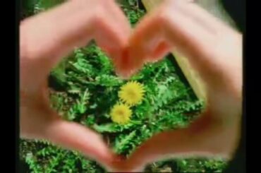 マクドナルド CM 蛯原友里 えびフィレオシリーズ「えびぶりしてる」篇