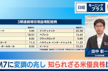 M7に変調の兆し　知られざる米優良株は【日経モープラFT】