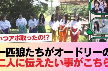 【日向坂46】いつアポ取ったの！？一匹狼たちがオードリーの二人に伝えたい事がこちら #日向坂46 #日向坂 #日向坂で会いましょう #乃木坂46 #櫻坂46