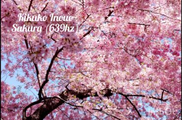 Kikuko Inoue - Sakura (639hz)