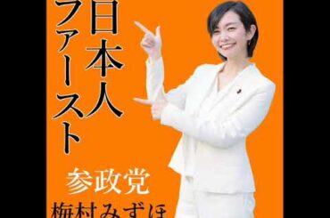 ＮＨＫ日曜討論 2025年7月27日　参政党　梅村みずほ