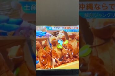 ジャングリア沖縄　グッズを紹介する若林有子アナ　#若林有子