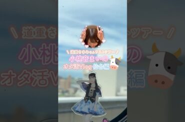 今夏引退 道重さゆみさんヲタ活で仙台まで遠征　#道重さゆみ #モーニング娘 ​⁠#ハロプロ #小桃音まい #まいにゃ #shorts