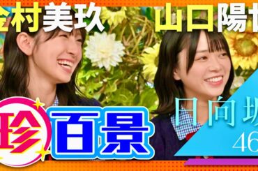 ナニコレ珍百景【7月27日放送/金村美玖/山口陽世】