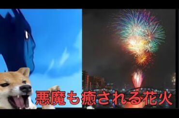 【柴犬飼い主55歳】隅田川の夜空でデビルマンと柴犬が競演！