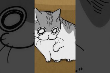 箱の中のネコの様子