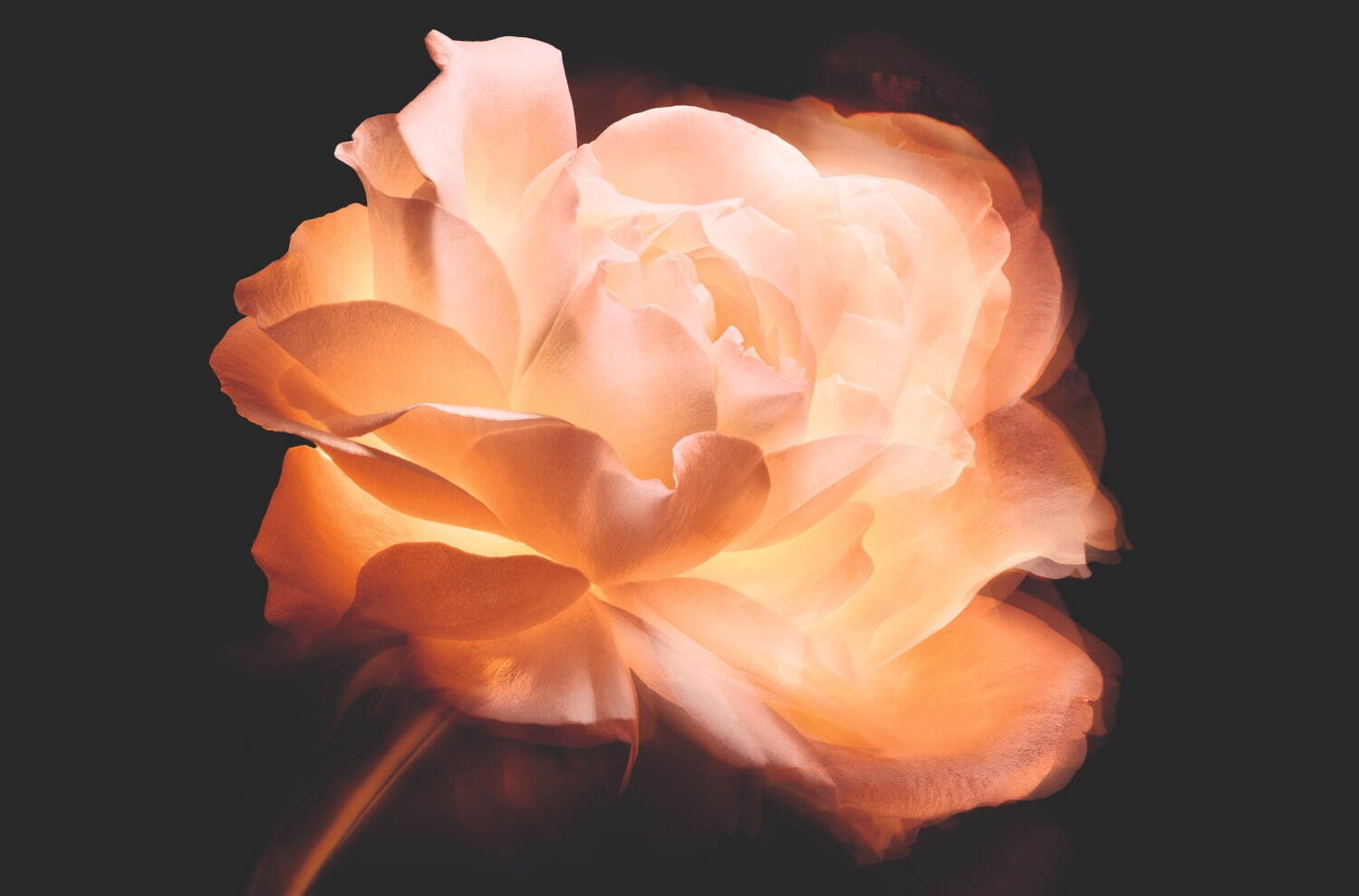 ディオール2025年秋スキンケア、疲れた目元を“サプリメントのように”速攻ケア新目元美容液｜写真8