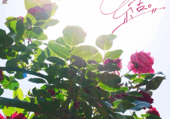 九条 輝、「結。」を配信開始｜THE MAGAZINE