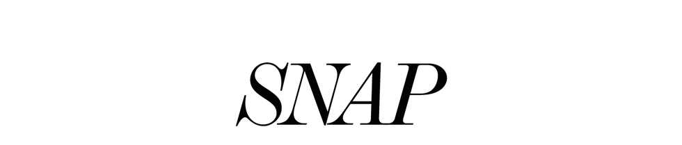 logo of a brand or company featuring the word snap