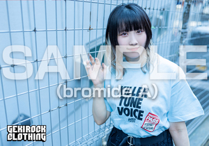 uchiyama_sama_bromide_A.jpg