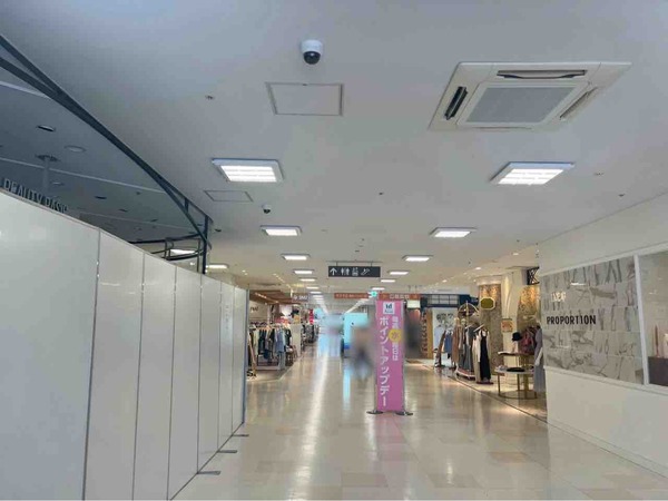 NATURAL BEAUTY BASIC