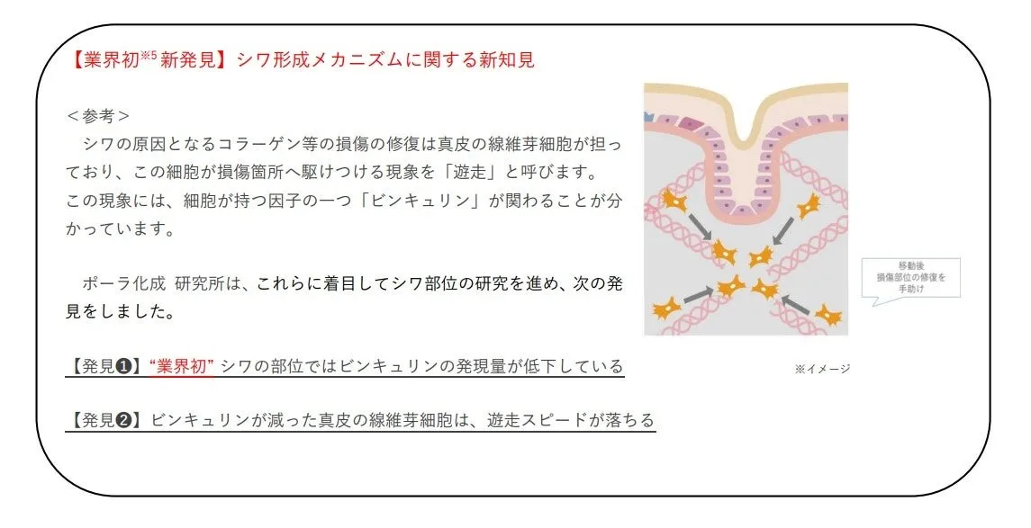 ポーラ化成研究所の研究コンセプト図