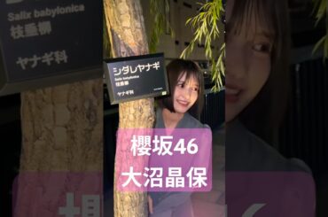 大沼晶保ちゃんとデートができる動画 #櫻坂46 #大沼晶保 #shorts