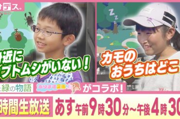 真夏の虫採り大作戦！おとな26人でカモのおうち大捜索！【アサデス】【あります企画】