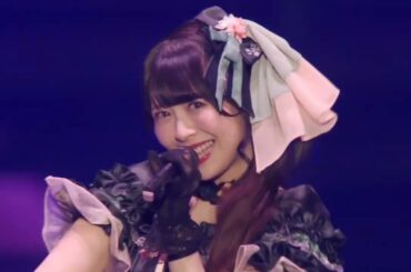 ALSTROEMERIA : Give me some more...