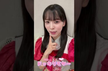 【豆柴の大群】今週の豆tubeは〜？アイカ・ザ・スパイの好きな過去動画3選！！！