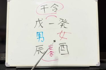 源田壮亮さんと衛藤美彩さんを占ってみた