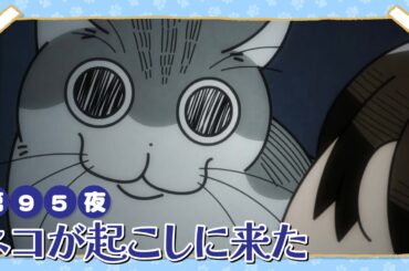 アニメ『夜は猫といっしょ』第95夜「ネコが起こしに来た」