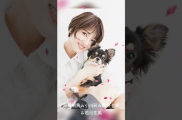 齋藤飛鳥＆小川彩＆西野七瀬＆若月佑美 #櫻坂46 #乃木坂46