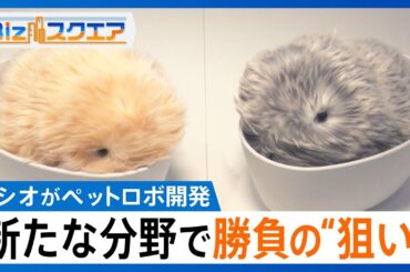 カシオ計算機がペットロボットを開発する狙い　機能価値から感性価値で新たなビジネスモデルに【Bizスクエア】