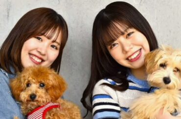 🐶⚾【melちゃんとエスコン観戦したい！】谷本安美が語る愛犬との最高の思い出づくり💖ファイターズ愛が止まらない‼️