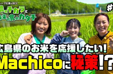 広島のお米を応援したい！　Machicoに秘策！？