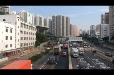 星よりも花よりも キュアベリー喜多村英梨