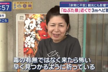 スーパーJチャンネル 動画　2025年日8月6日