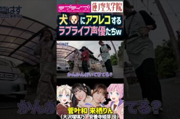 【蓮ノ空】リアルの犬にアフレコし始めるラブライブ声優、菅叶和・来栖りん【Link! Like! ラブライブ!】#shorts リンクラ かんかん 声優 大沢瑠璃乃 安養寺姫芽 ワンちゃん わんわんな
