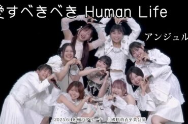 愛すべきべき Human Life／アンジュルム　＊2025.6.18 横浜アリーナ