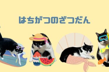 これがおれたちの８月の雑談だ！