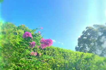 【ノスタルジックに夏めいて】ストリングス・ピアノ・アコギアレンジ (逢田梨香子さんバースデー記念)