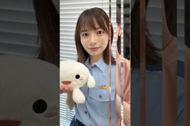 【愛知県編】可愛すぎる地方女子アナウンサー１０選 #女子アナ #メーテレ #芸能人 #テレビ愛知 #美女図鑑