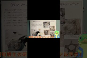★信州新町化石博物館に行ってきた！その1「コッコの恐竜こどもチャンネル」 #dinisaurs #dinosaur #長崎市恐竜博物館 #jurassicworld  #恐竜