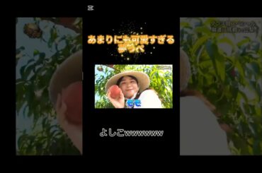 あまりにも可愛すぎる夢っぺ #箭内夢菜 #イッテq #かわいい