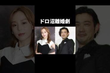 平野綾の離婚劇の真相がヤバすぎ