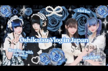 My Oshi Old Group Comeback?! Oshikatsu Idol Live Vlog♡量産型・地雷系・推し活