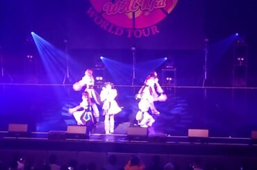 20240211-07 「クッキー」 - PiZZA WACKful WORLD TOUR 大阪公演 - 豆柴の大群都内某所a.k.a.MONSTERIDOL