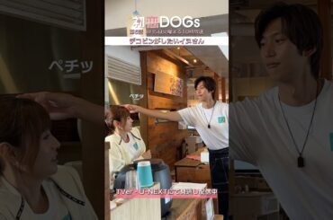 『#初恋DOGs』メイキング🎬デコピンがしたいイヌさん #ナイヌ #萩原利久 #深田恭子