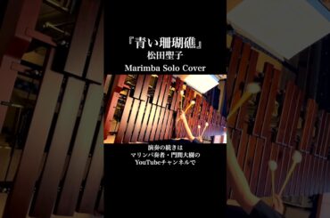 『青い珊瑚礁』 松田聖子｜マリンバ ソロ演奏🌊