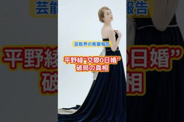平野綾“交際0日婚”破局の真相