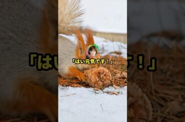 ワイ「え〜出席をとるぞ、本田翼」翼「はい元気です！」#2ch #ネタ #おもしろ #shorts