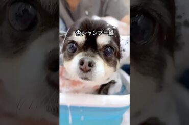 杏ちゃんアロマ風呂でうっとり💖